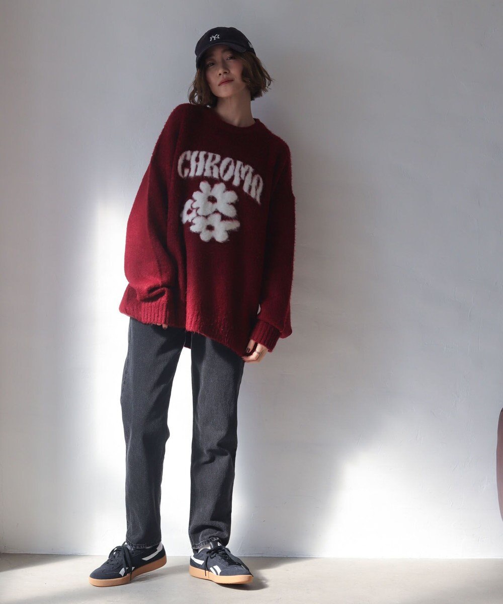 WEGO 【ユニセックス着用ITEM/MLサイズ展開/25年秋冬新作】ファジーグラフィックプルオーバー 