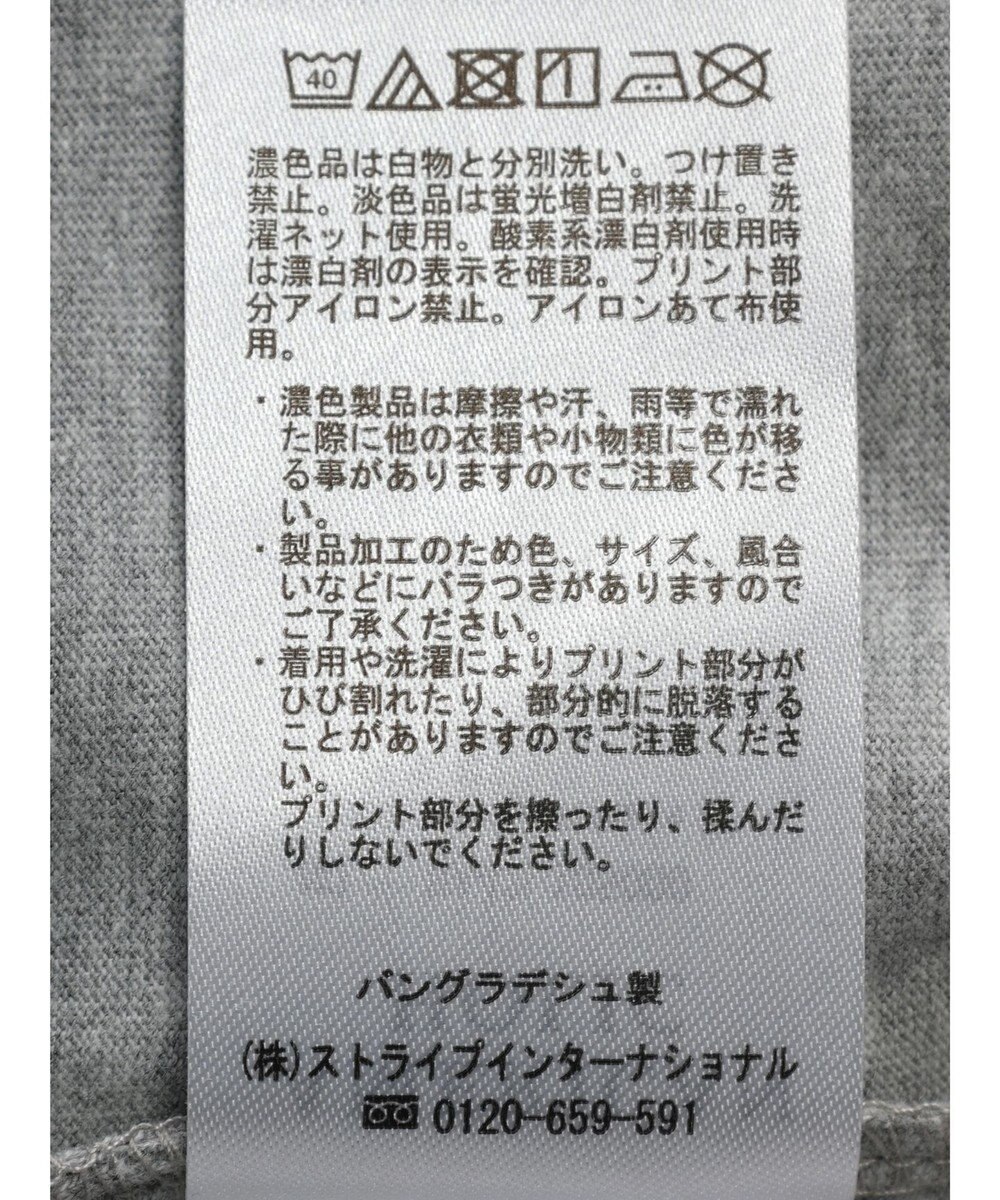 AMERICAN HOLIC リンガーロゴプルオーバー2 