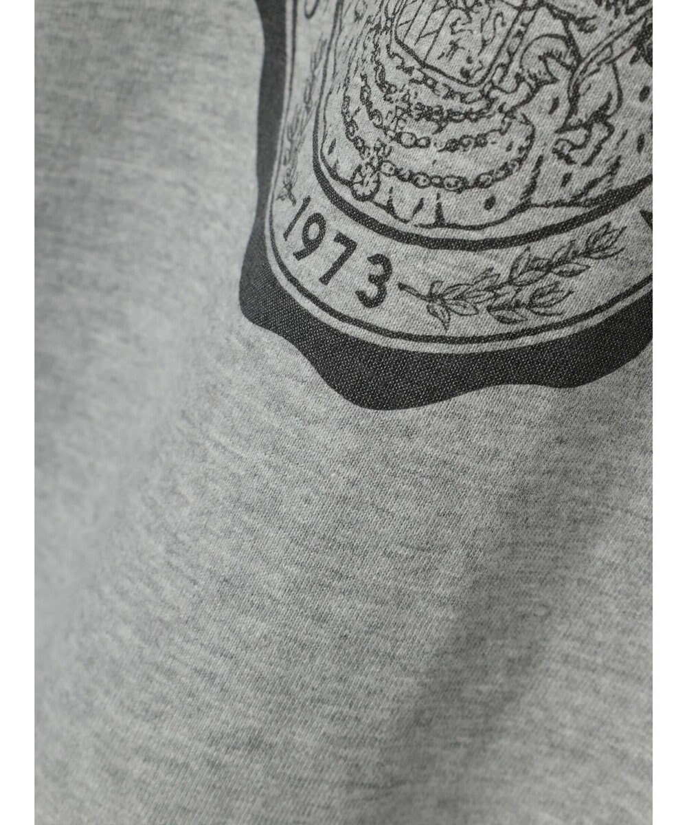 AMERICAN HOLIC リンガーロゴプルオーバー2 