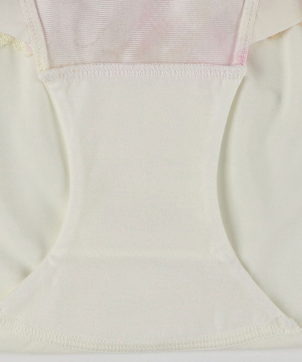 Wing ショーツ Wing Lesiage 【2900シリーズ】 PB2900・PB2901とペア はきこみ丈あさめ PF2901 ウイング／ワコール 