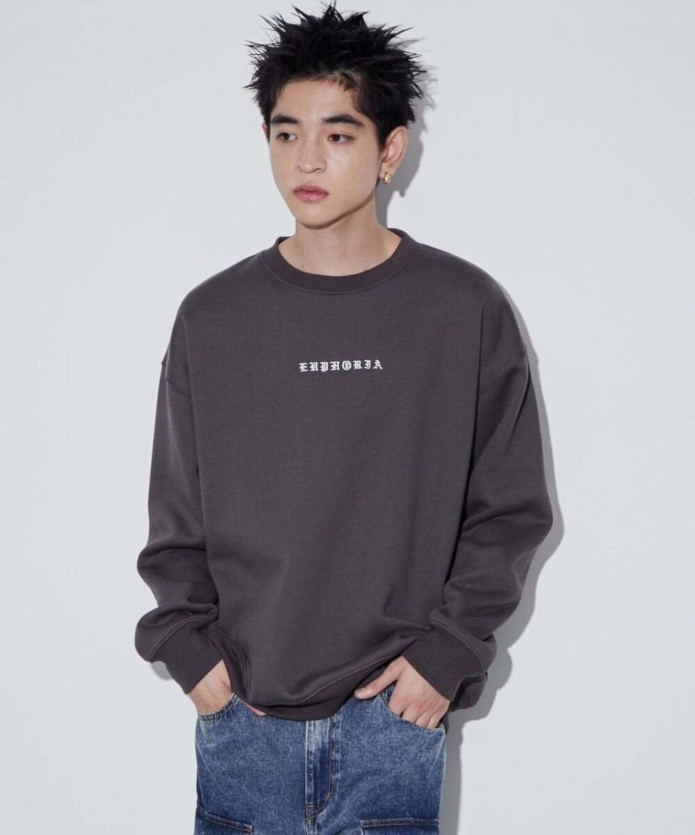 WEGO 【ユニセックス着用ITEM】アーチバックロゴグラフィックプルオーバー 