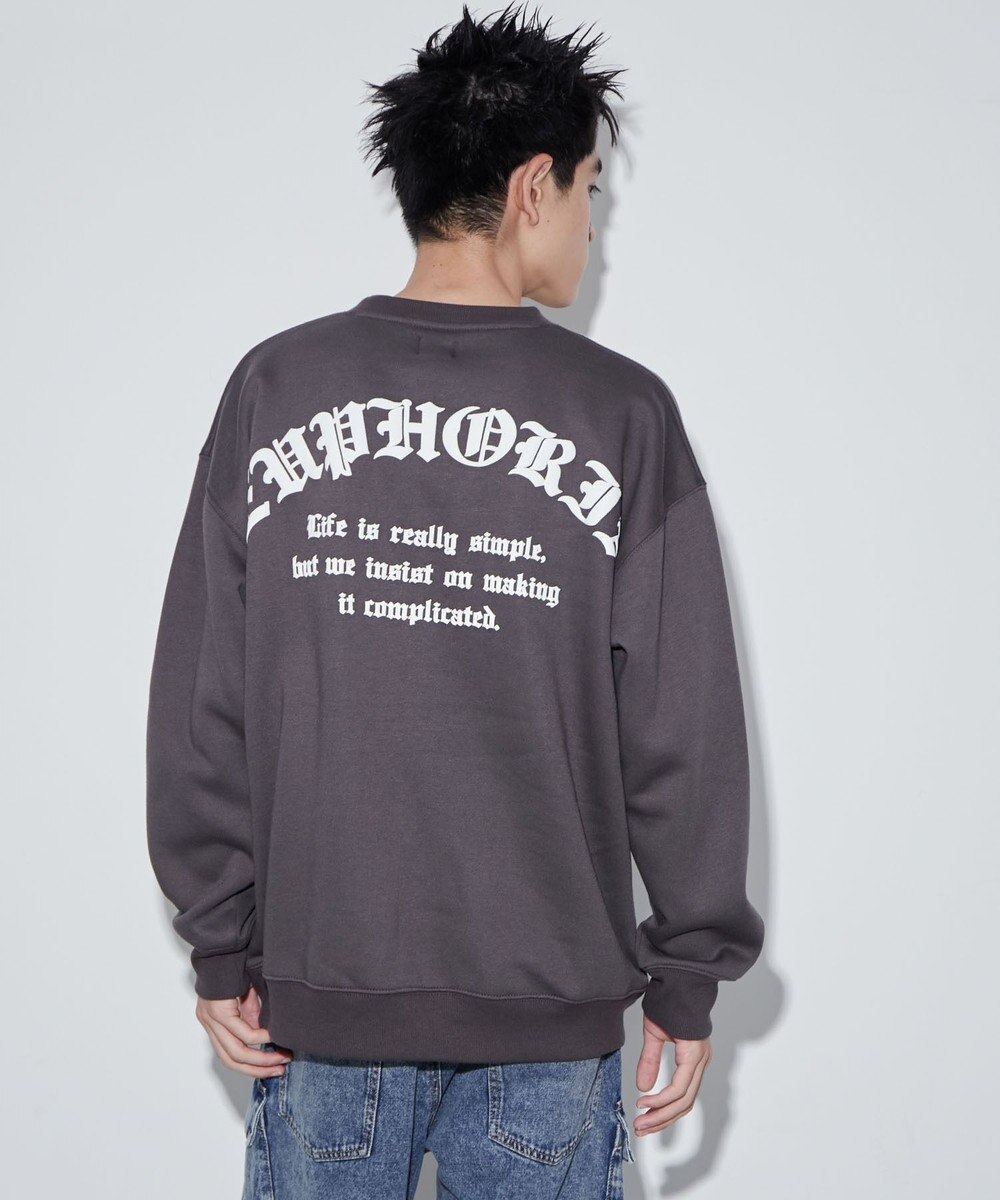 WEGO 【ユニセックス着用ITEM】アーチバックロゴグラフィックプルオーバー 