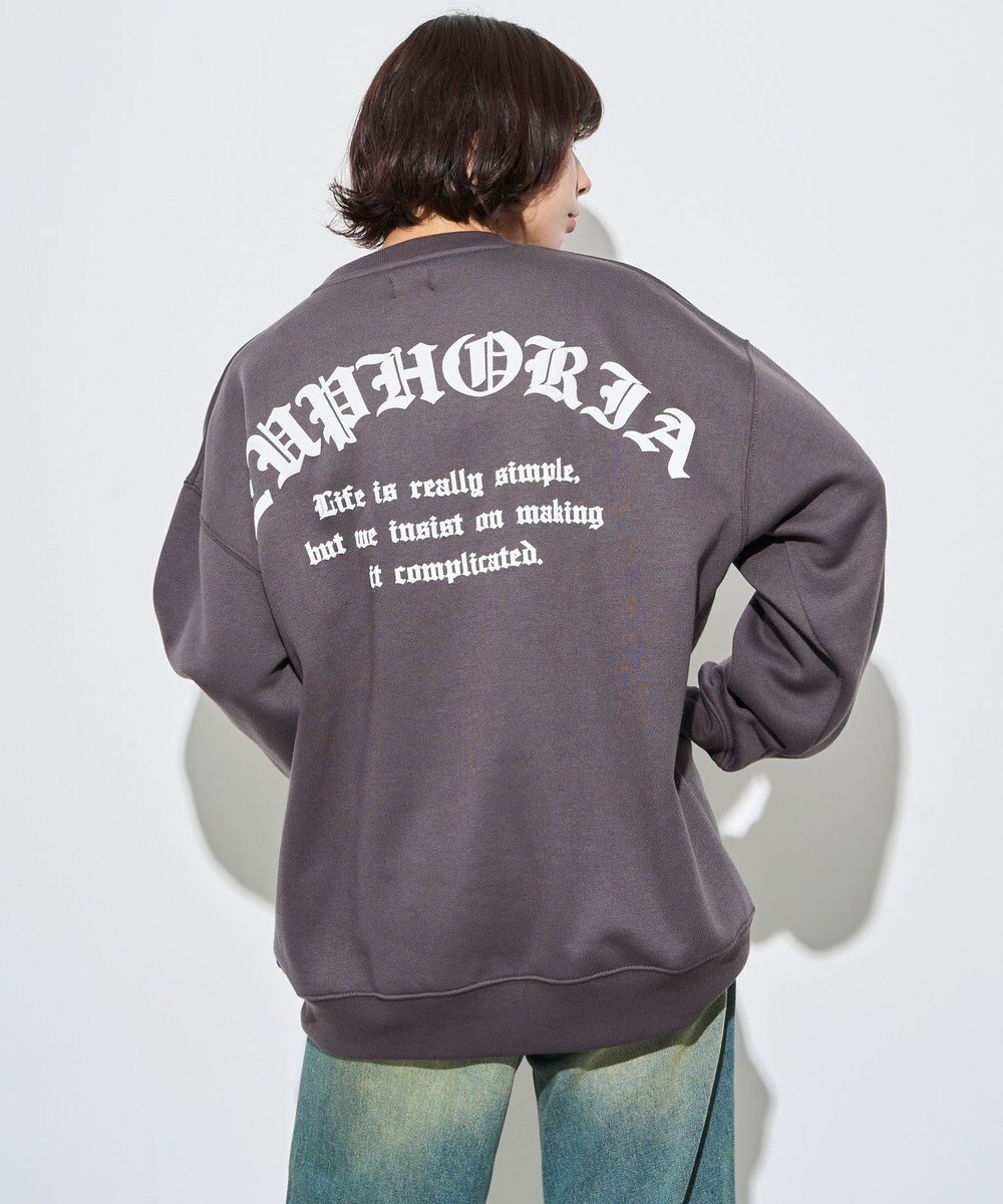 WEGO 【ユニセックス着用ITEM】アーチバックロゴグラフィックプルオーバー 