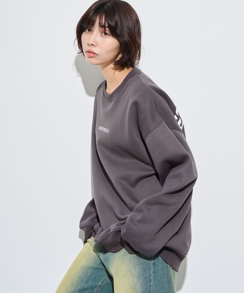 WEGO 【ユニセックス着用ITEM】アーチバックロゴグラフィックプルオーバー 