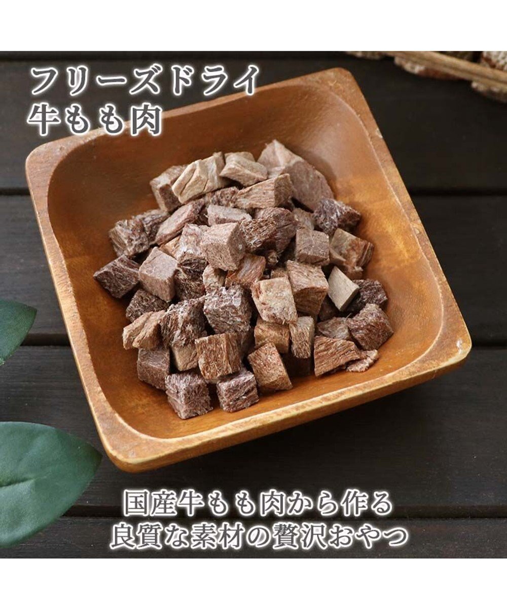 PET PARADISE プレミアムフード フリーズドライ 牛もも肉 18g 