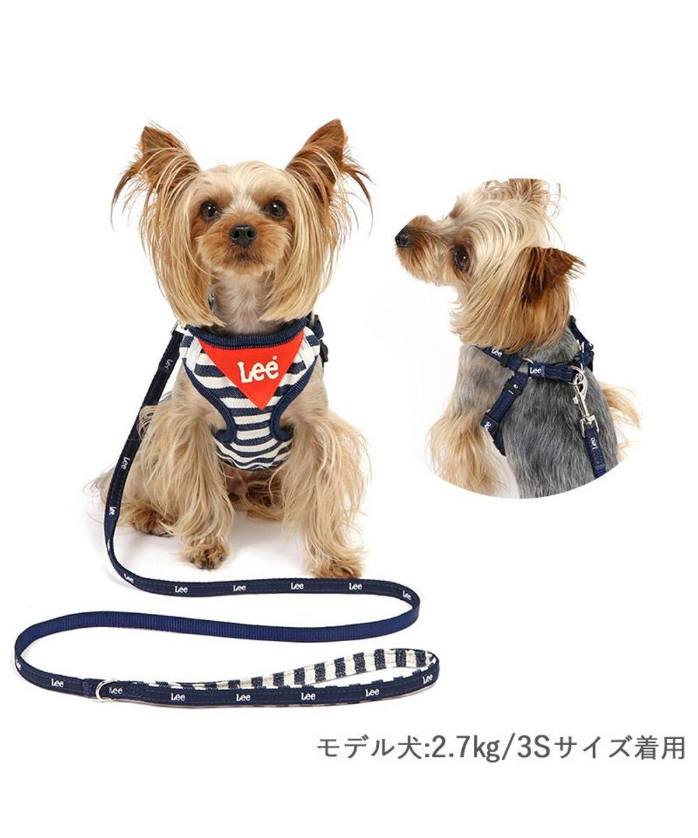 PET PARADISE Lee ハーネス＆リード 《ボーダー》 Ｓ 小型犬 