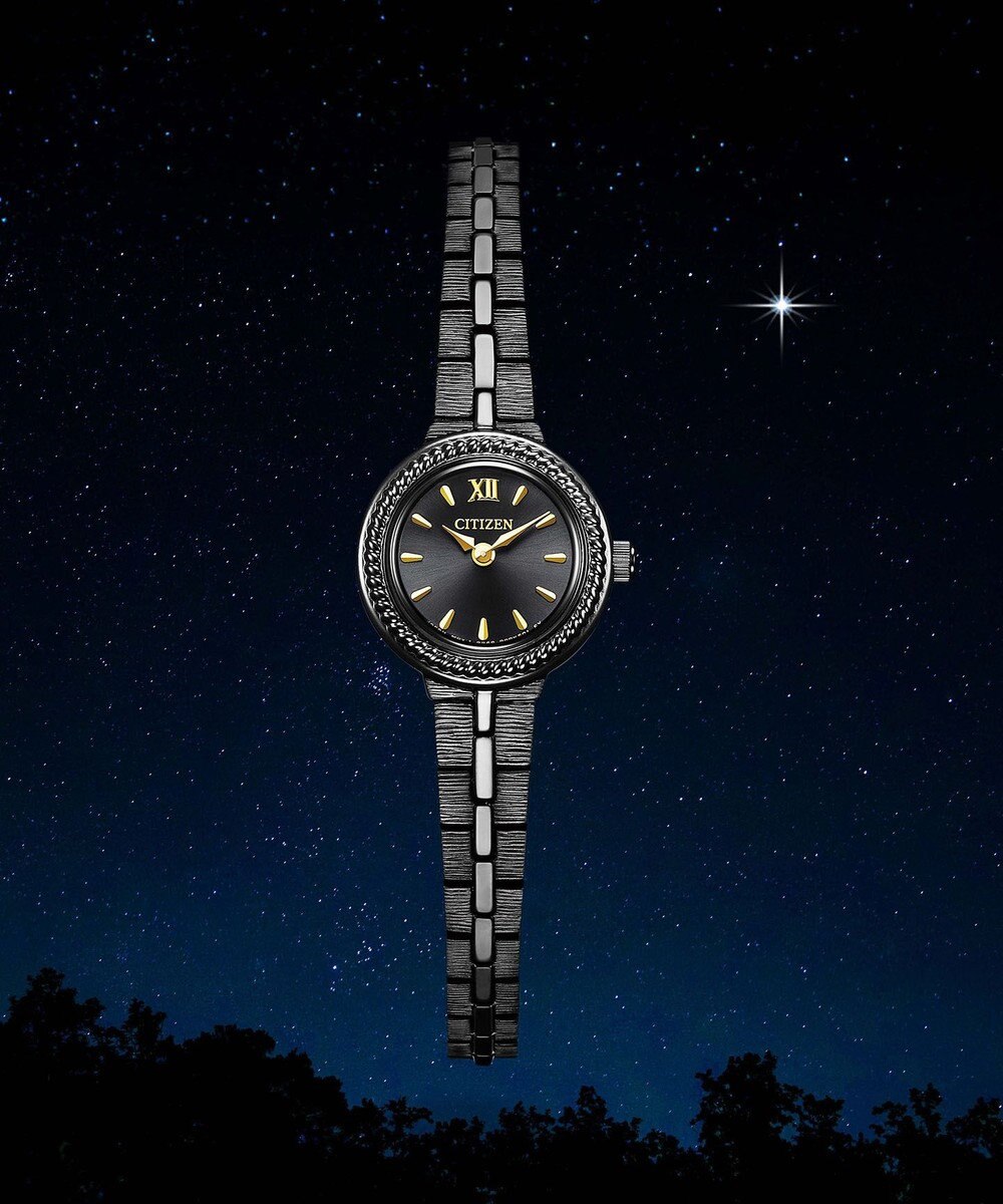 CITIZEN 【特定店取扱いモデル】クラシカルで繊細なブレスバンドのラウンドモデル EG2986-53E 