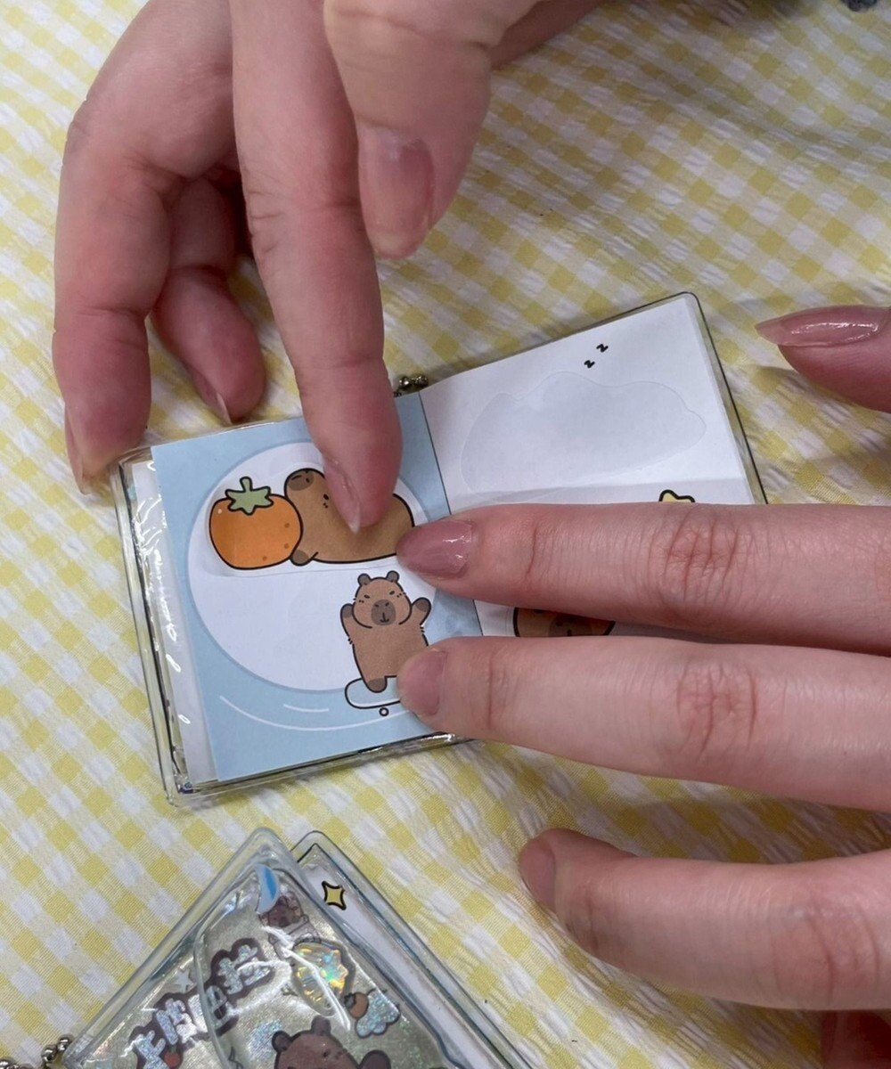 WEGO ボールチェーン付きカピバラステッカーメモ 