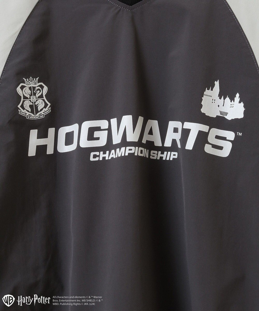 Green Parks ハリー・ポッター／ロゴプルオーバー 