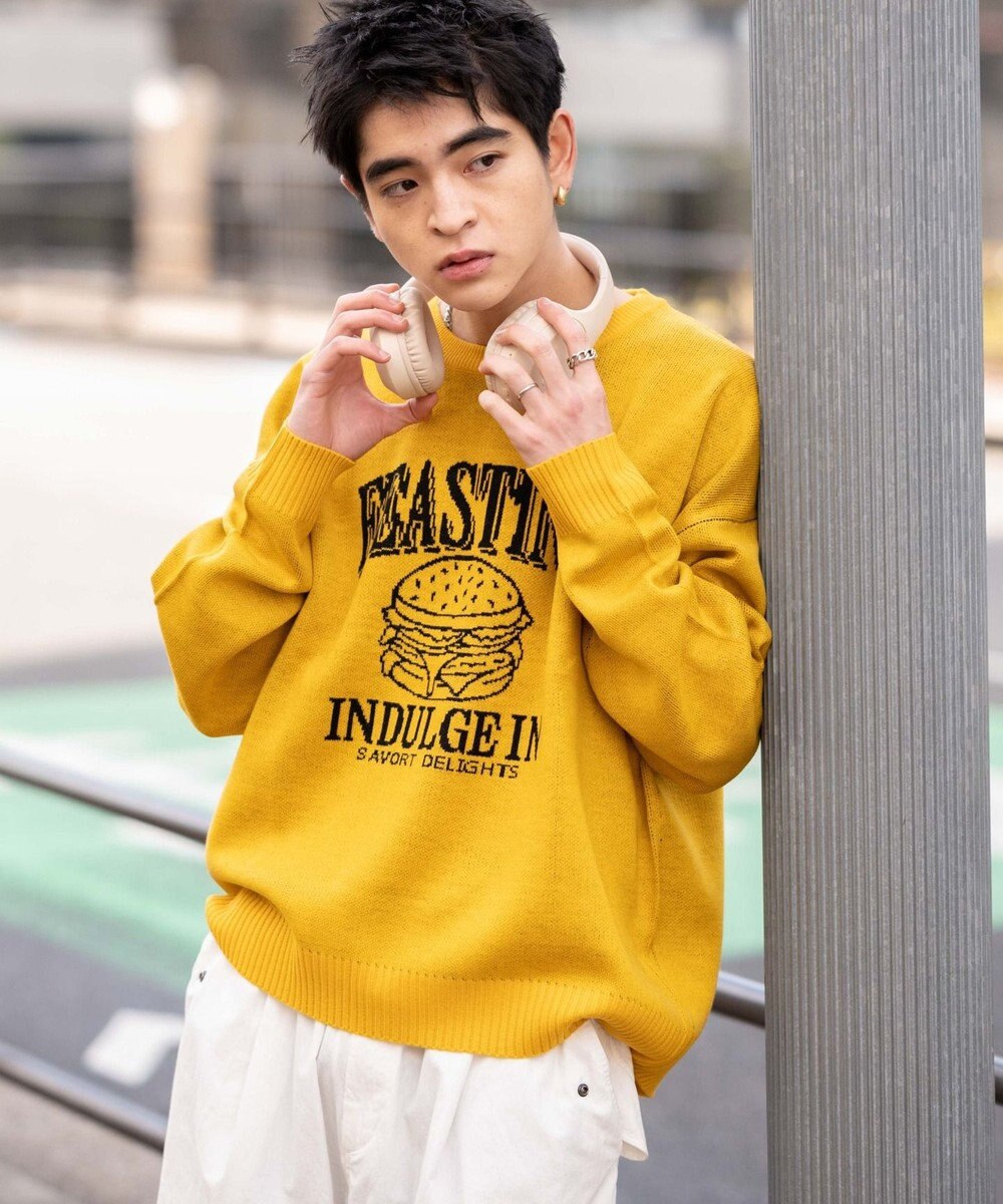 WEGO 【新色追加/ユニセックス着用ITEM/SMLサイズ展開】ジャガードグラフィックプルオーバー（LS） 