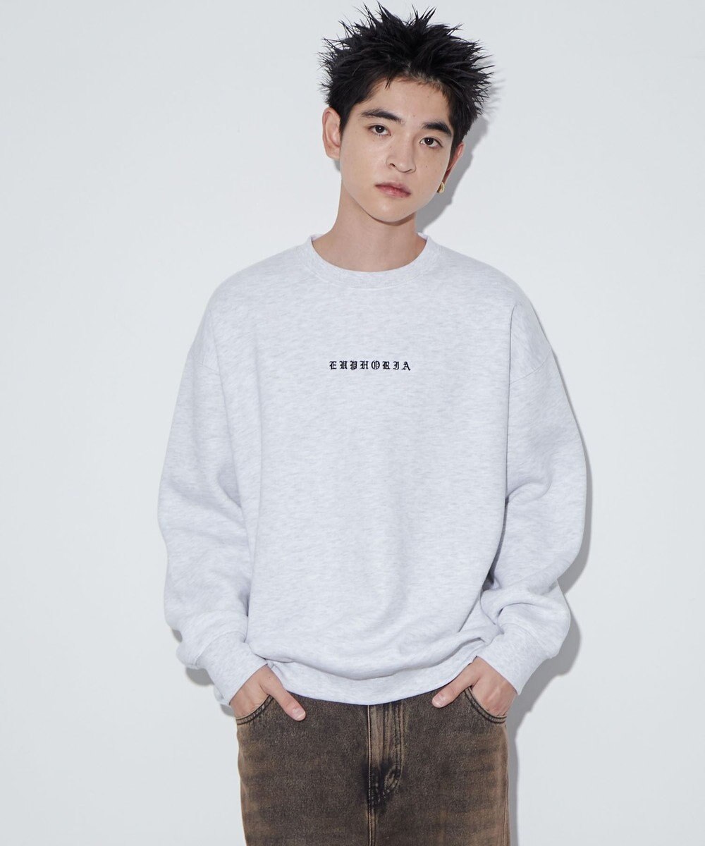 WEGO 【ユニセックス着用ITEM】アーチバックロゴグラフィックプルオーバー 