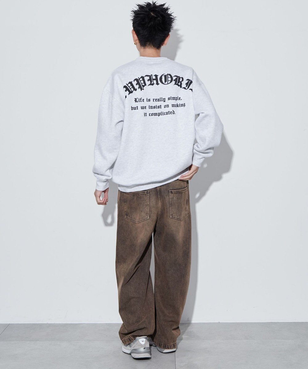 WEGO 【ユニセックス着用ITEM】アーチバックロゴグラフィックプルオーバー 