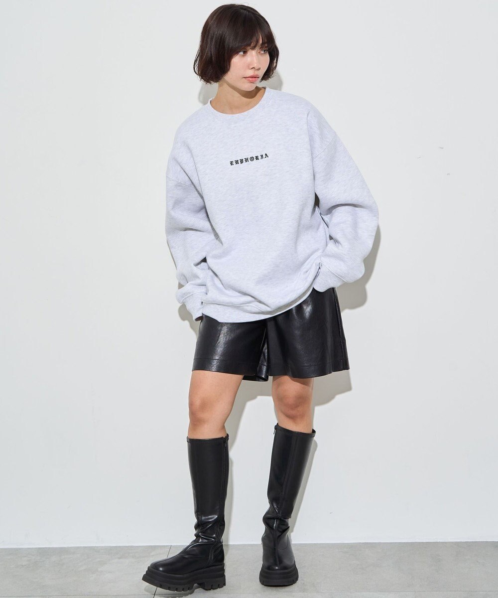 WEGO 【ユニセックス着用ITEM】アーチバックロゴグラフィックプルオーバー 