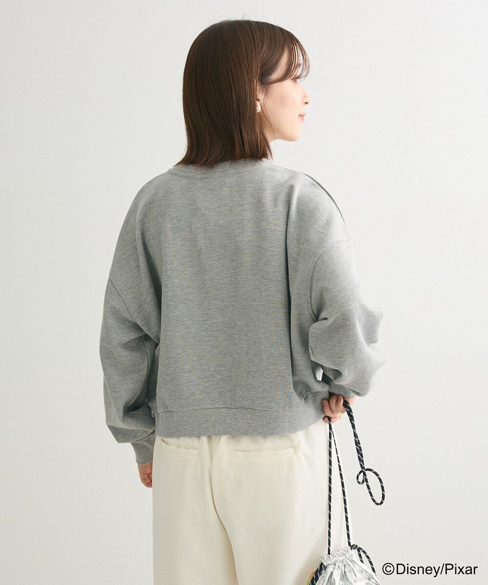 Green Parks トイストーリー／立体ロゴショートプルオーバー 