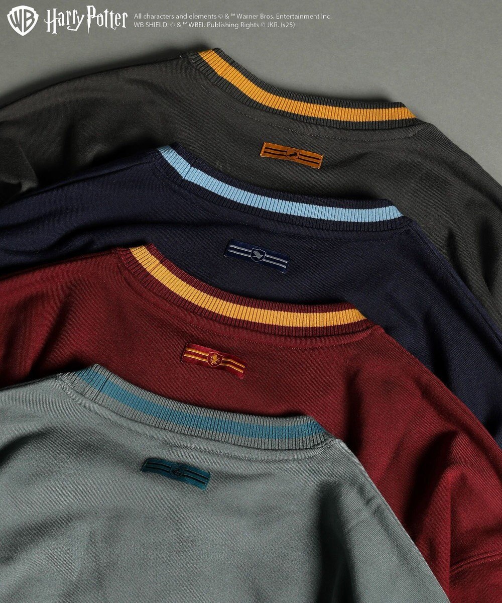 Green Parks ハリー・ポッター／サガラ刺繍ロゴプルオーバー 