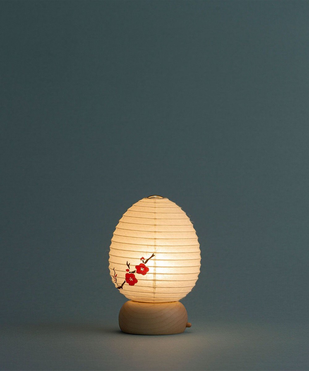 ちょうちん堂 【きもち】AKOGARE 梅 ちょうちん ライト 