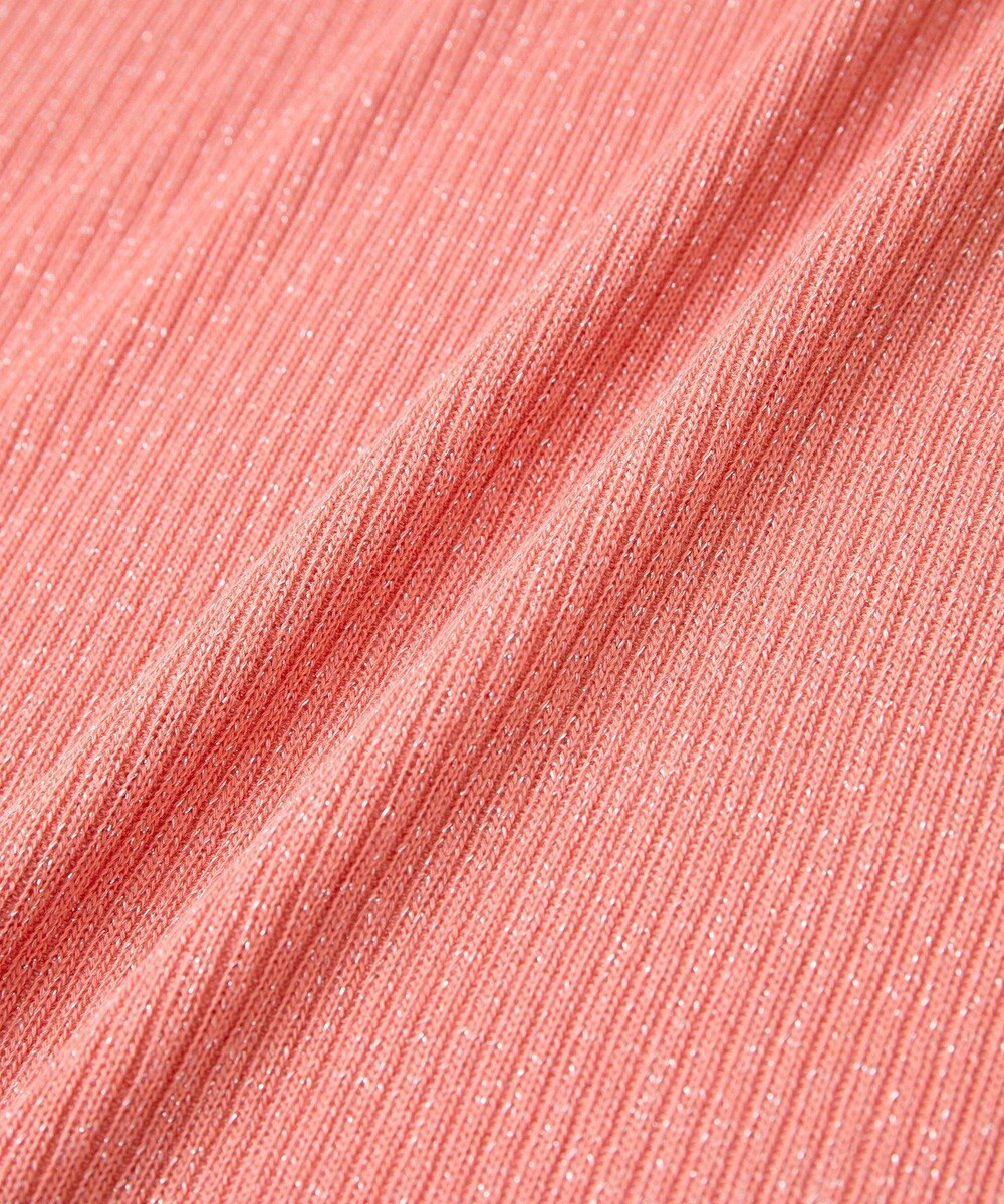 Green Parks ｉｎ　ラメリブハイネックプルオーバー 