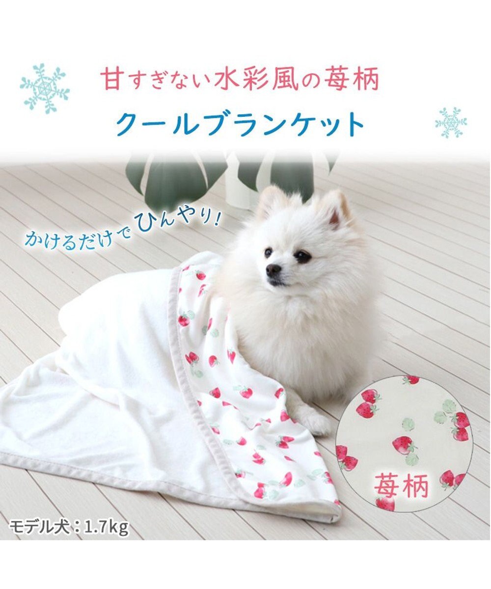 PET PARADISE ペットパラダイス クールブランケット 単品 (90×60cm)  《 苺柄 / ネイティブ柄 》 