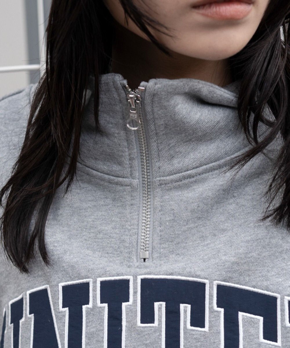 WEGO グラフィックハーフジップスウェット 