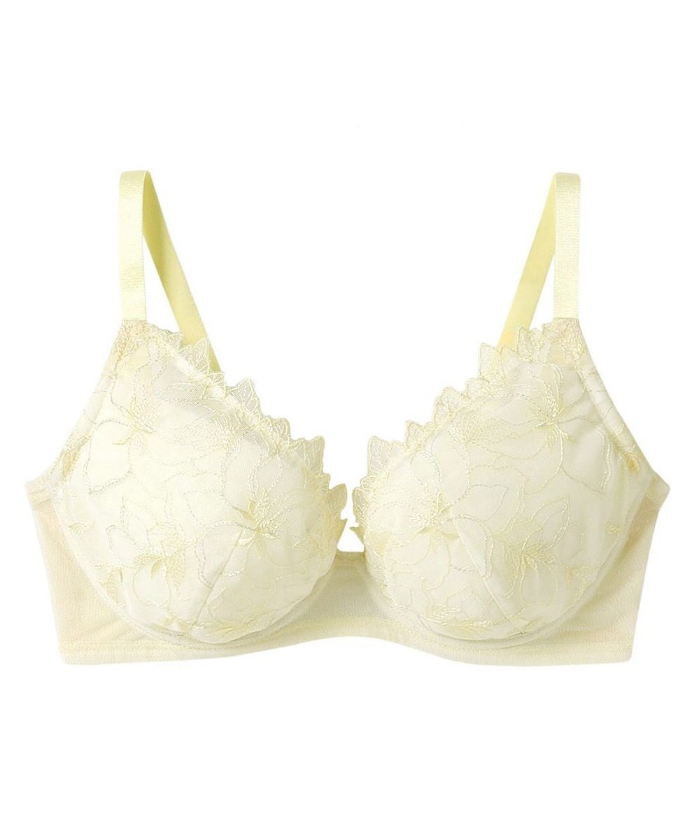 une nana cool 小さく見せるブラ ミニマイザーブラ レース 