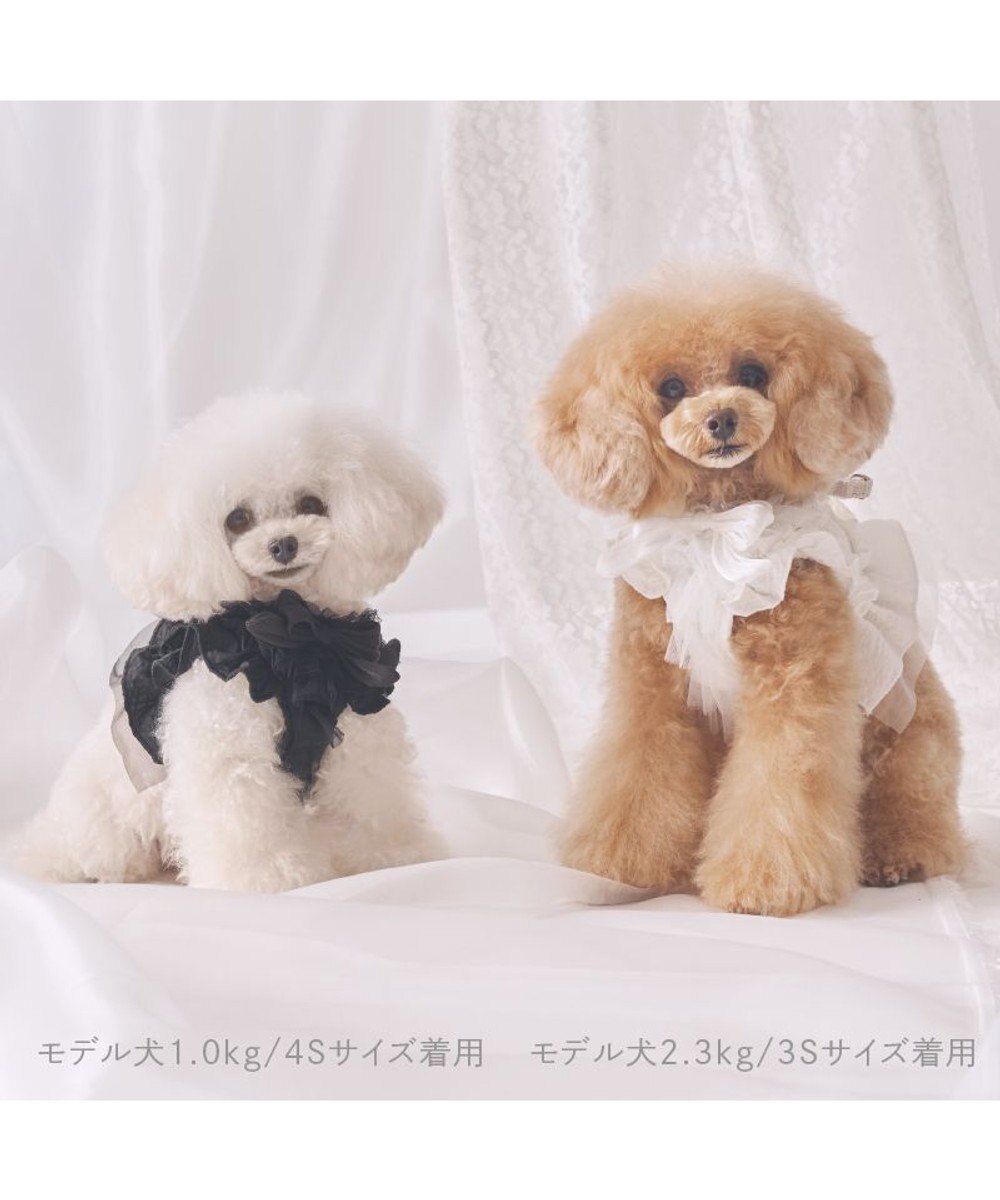 PET PARADISE cherircouture フリフリハーネス 《ブラック》 小型犬 Ｓ 