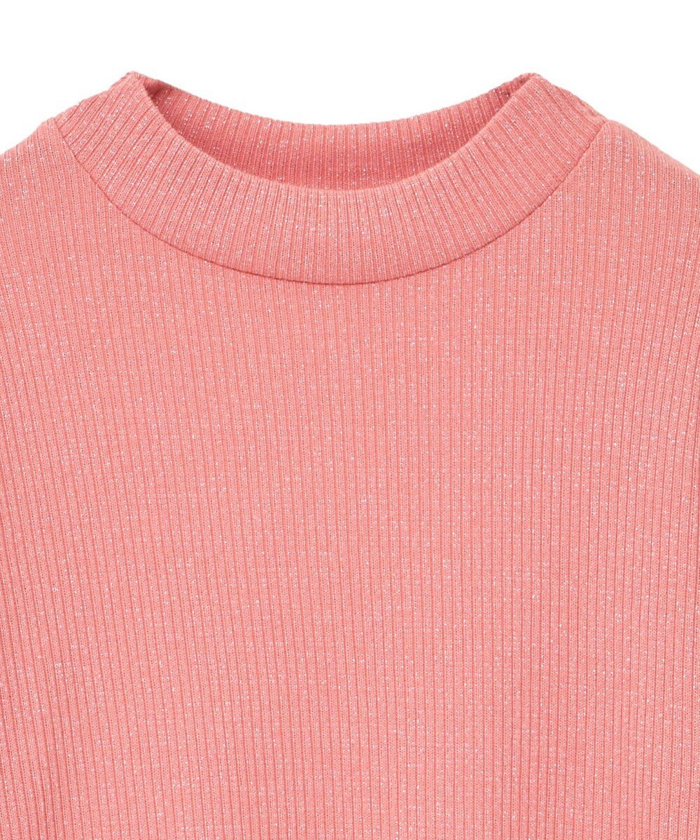 Green Parks ｉｎ　ラメリブハイネックプルオーバー 