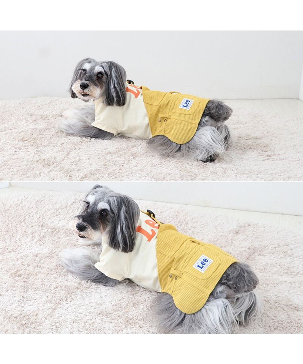 PET PARADISE Lee ワンショルダー スカートつなぎ 小型犬 