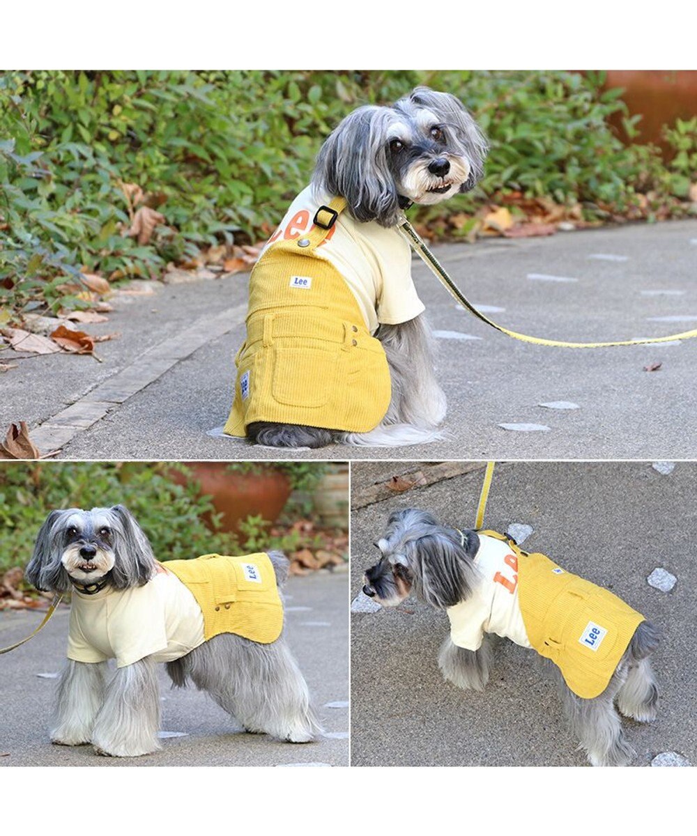 PET PARADISE Lee ワンショルダー スカートつなぎ 小型犬 