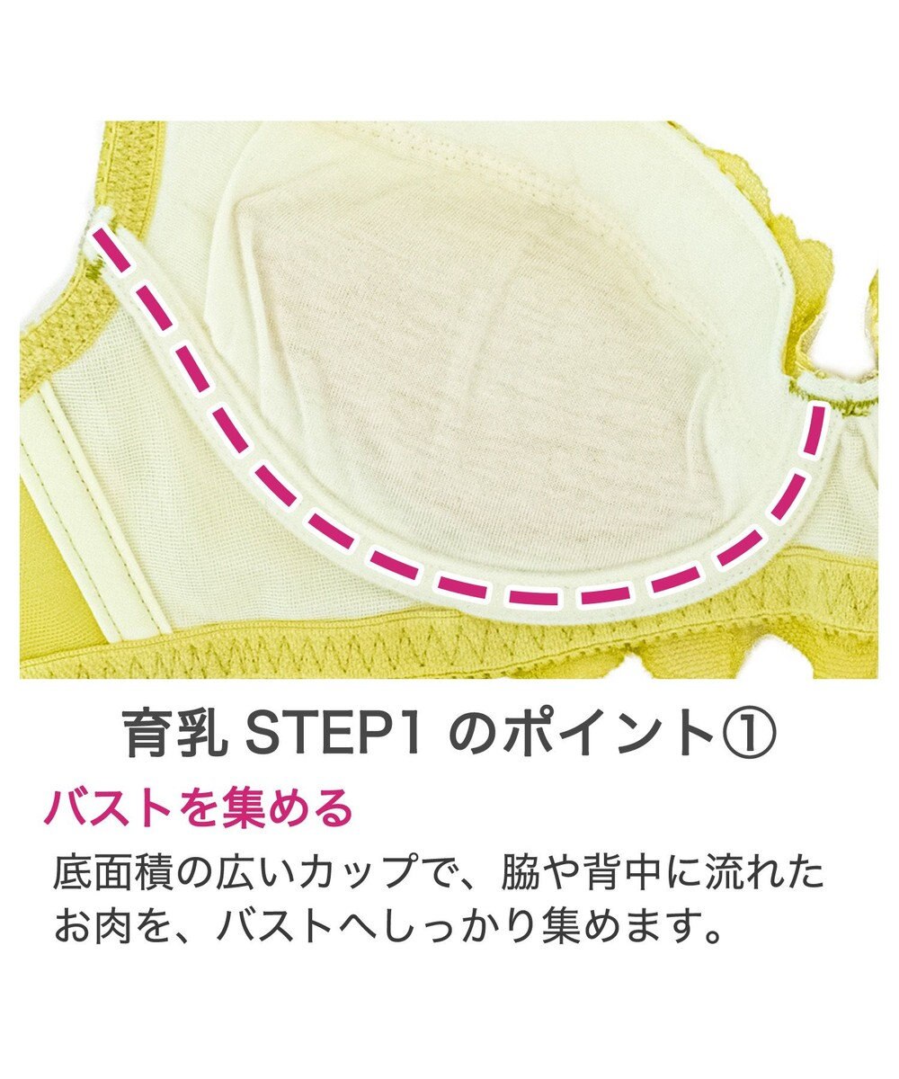 BRADELIS New York 【BRADELIS New York / 育乳補整ブラ・STEP1 集める】ジャスミンステップ1ブラ24A1 