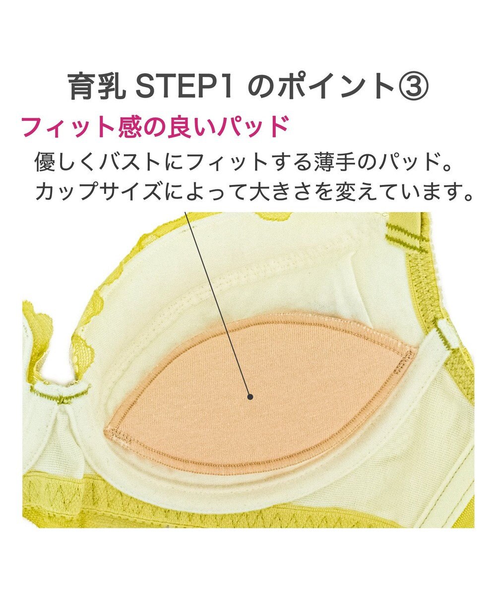 BRADELIS New York 【BRADELIS New York / 育乳補整ブラ・STEP1 集める】ジャスミンステップ1ブラ24A1 