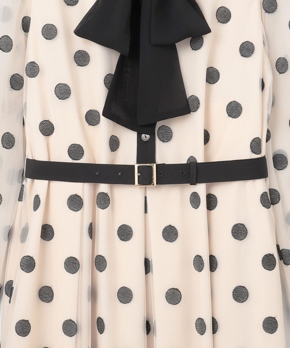 GRACE CONTINENTAL ラメドット刺繍ドレス 