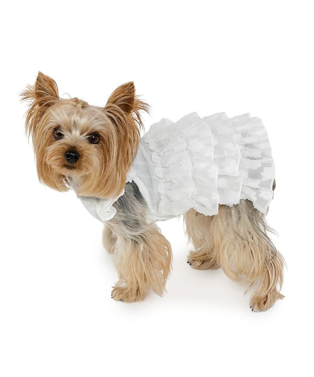 PET PARADISE ペットパラダイス お花 ふりふり ワンピース 《ホワイト》 小型犬 