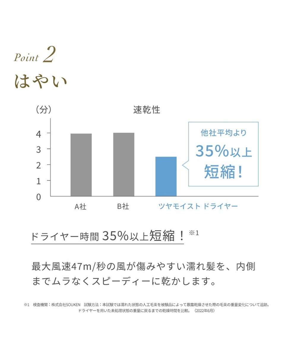 YAMATO テーブル＆キッチン 【フェスティノ】ツヤモイストドライヤー  ホワイト  SMHB-029-WH 