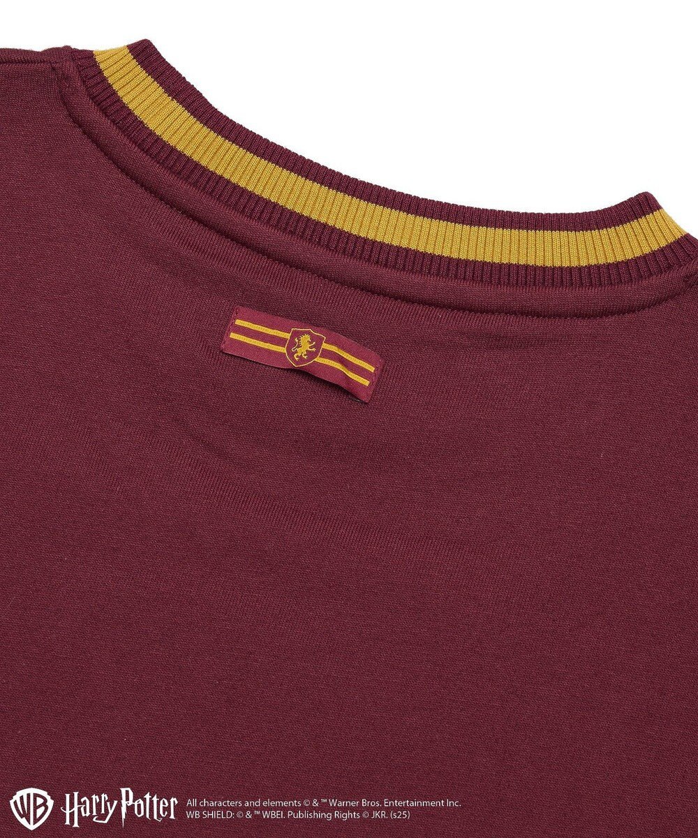 Green Parks ハリー・ポッター／サガラ刺繍ロゴプルオーバー 