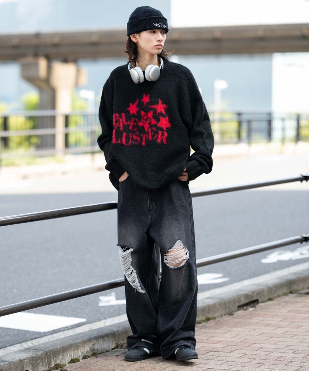 WEGO 【ユニセックス着用ITEM/MLサイズ展開/25年秋冬新作】ファジーグラフィックプルオーバー 