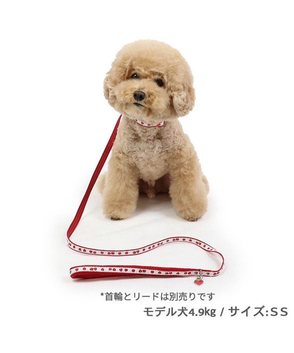 PET PARADISE ペットパラダイス 苺チャーム付き リード Ｓ 
