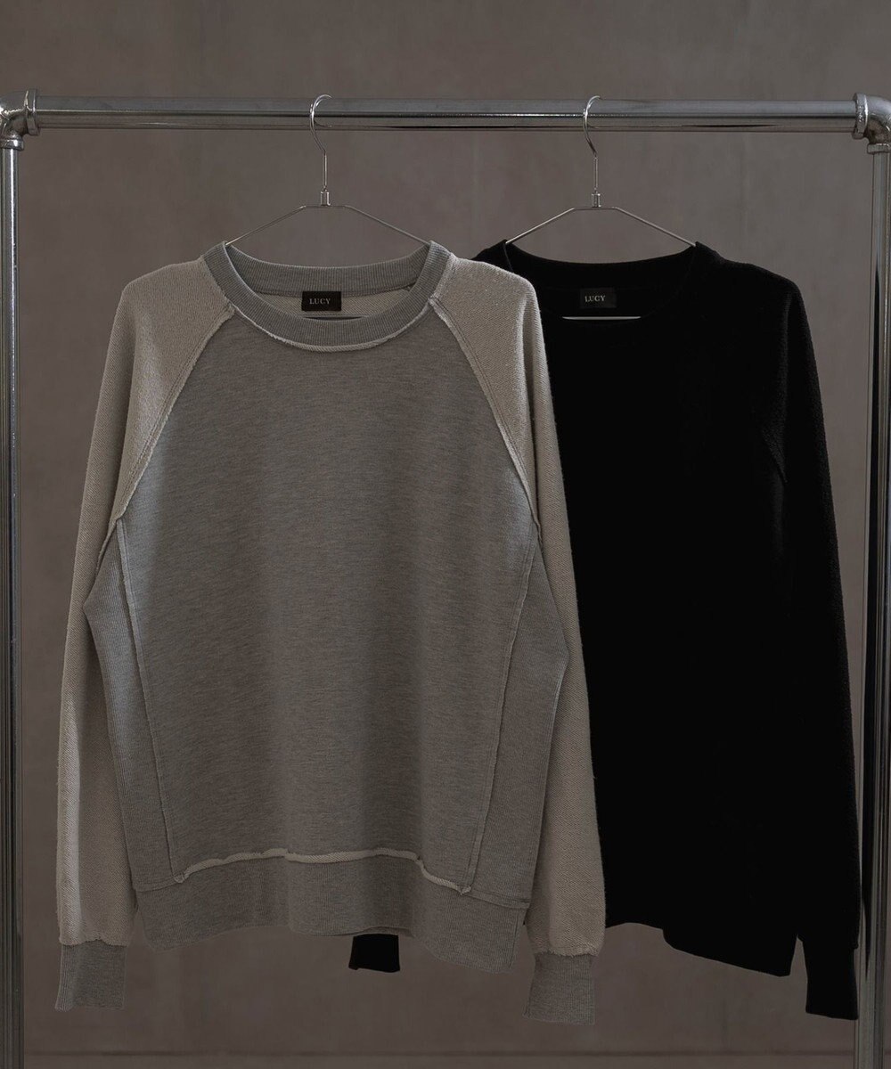 WEGO インサイドアウトラグランプルオーバー 