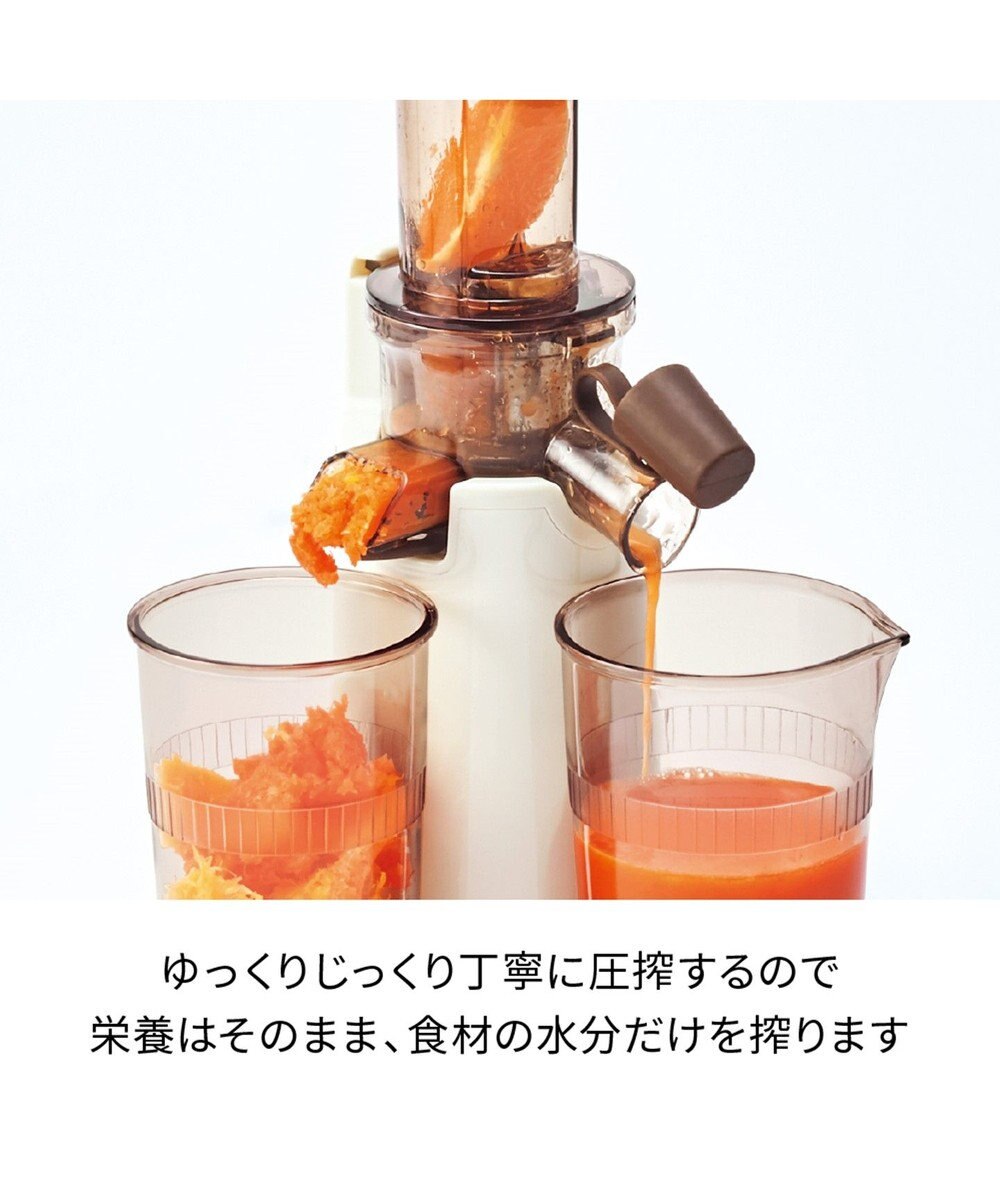 YAMATO テーブル＆キッチン 【レコルト】コールドプレスジューサーミニ  セージグリーン  RCJ-1(GE) 