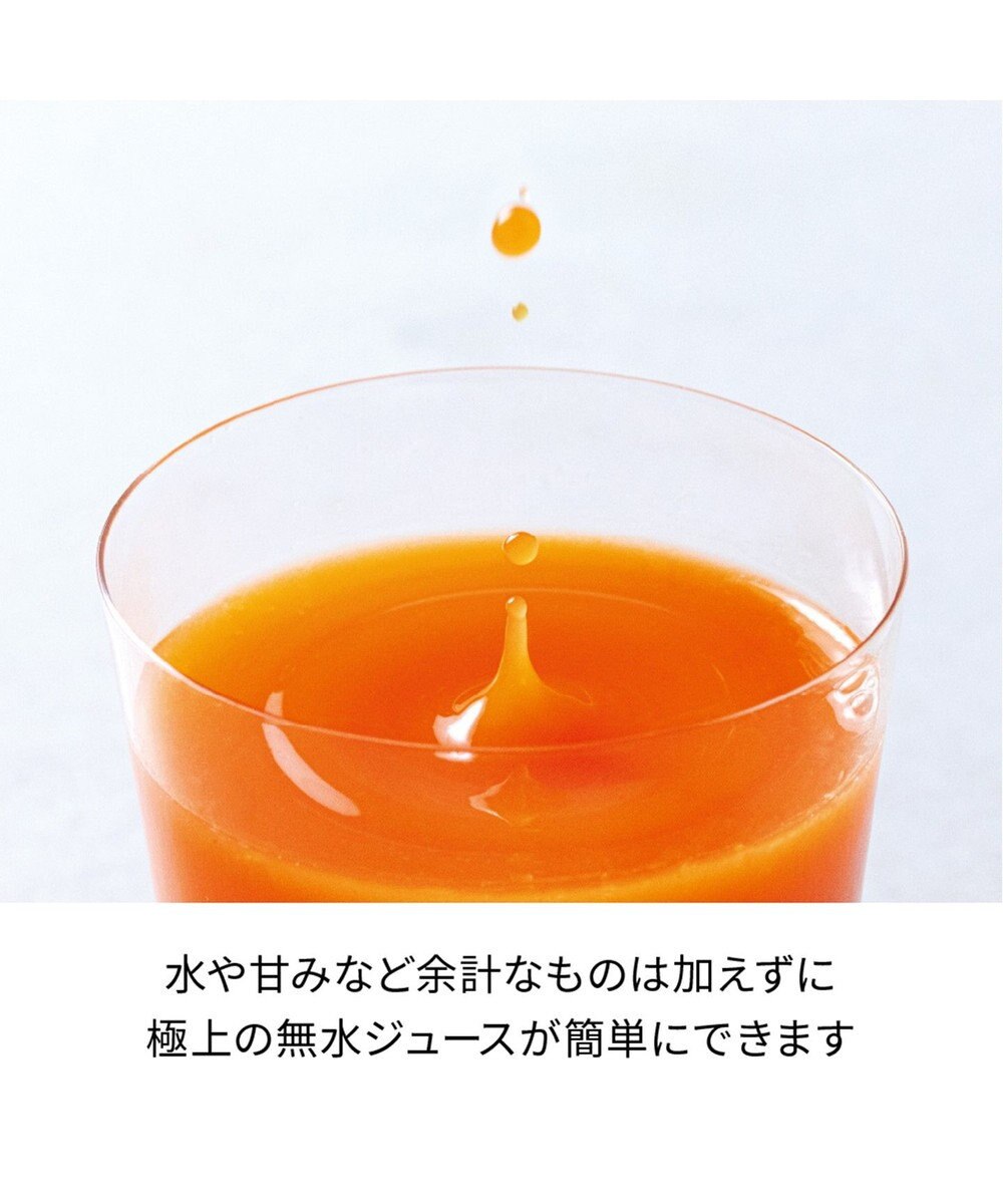 YAMATO テーブル＆キッチン 【レコルト】コールドプレスジューサーミニ  セージグリーン  RCJ-1(GE) 