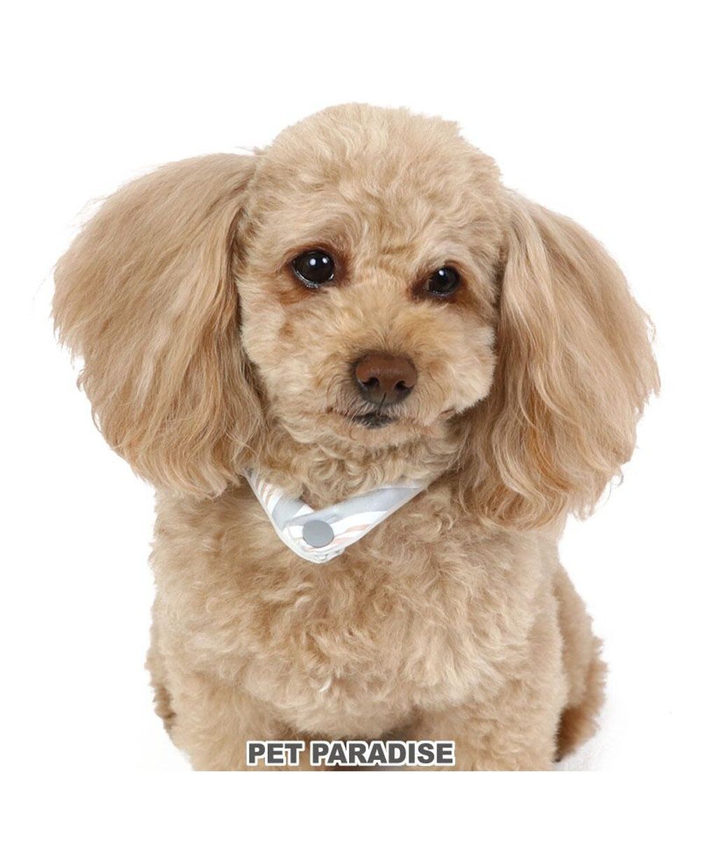 PET PARADISE ペットパラダイス 28℃ クールリング 【ＳＳ】 《 水色 / ベージュ》 