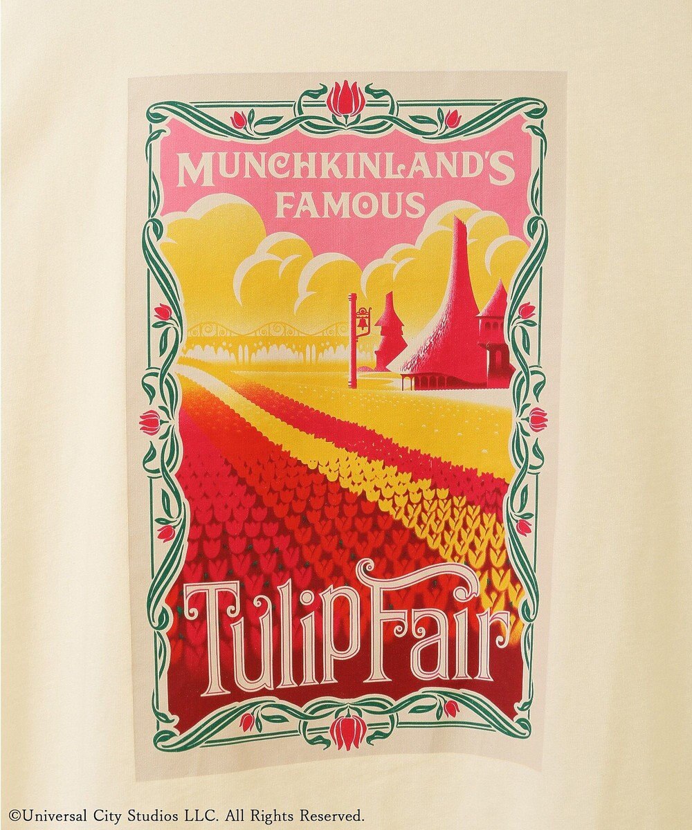 Green Parks ■ＷＩＣＫＥＤ　マンチキンランドロンＴ 