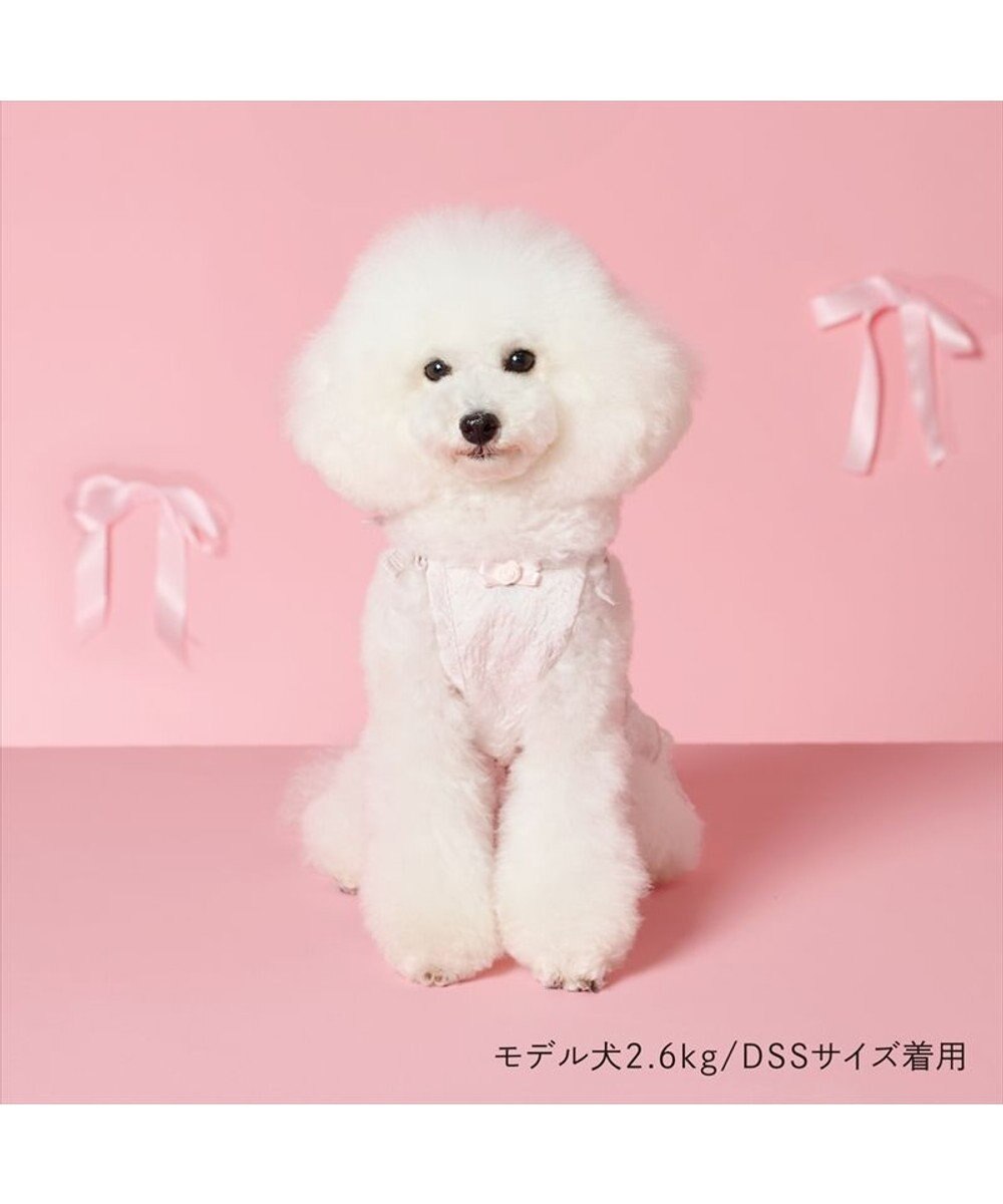 PET PARADISE cherircouture ローズリボン ワンピース 小型犬 