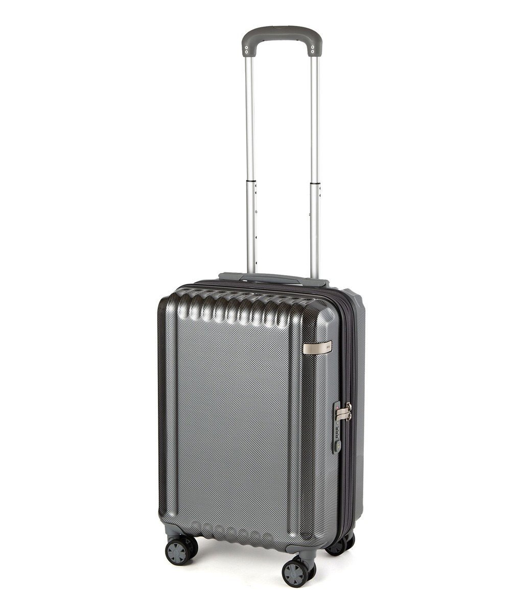 ACE BAGS & LUGGAGE ace. パリセイドZd 機内持ち込み Sサイズ 35～40L 06816 エース 