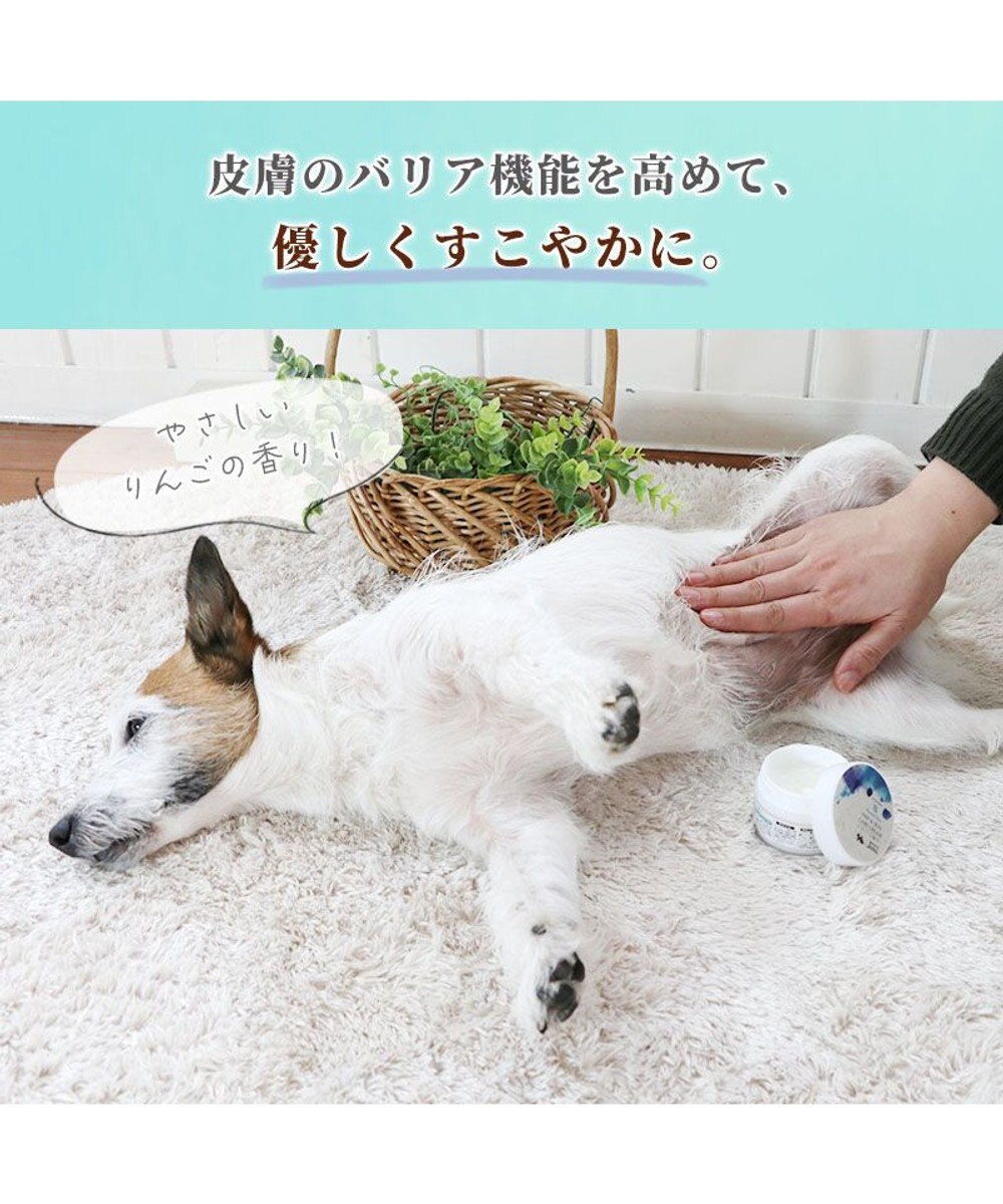 PET PARADISE ミネラルミューズ パウ＆スキンケアクリーム 50mL 