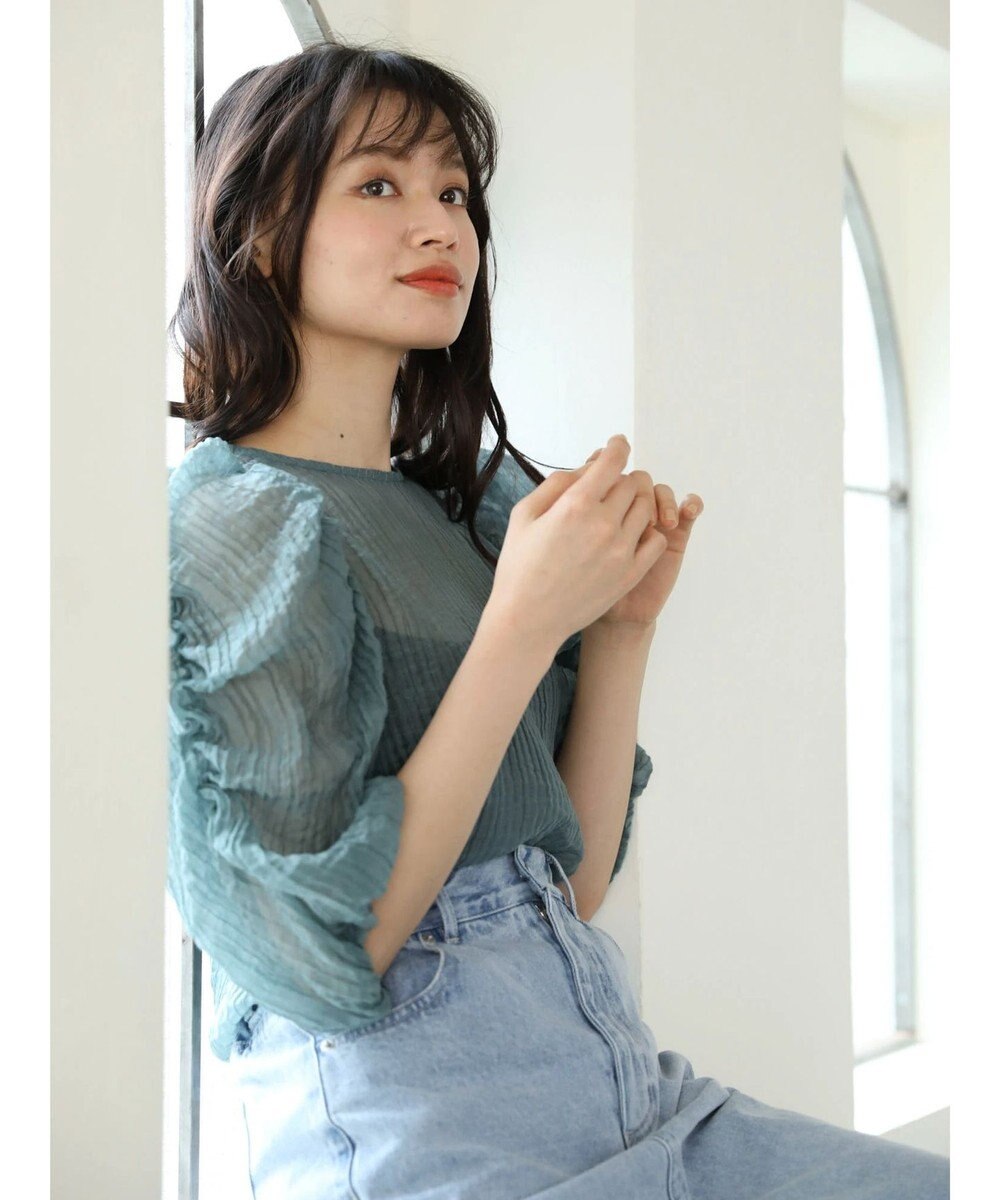 Green Parks ・ＡＮＤ　ＳＥＡＲＣＨ　シアーパワーショルダーブラウス 