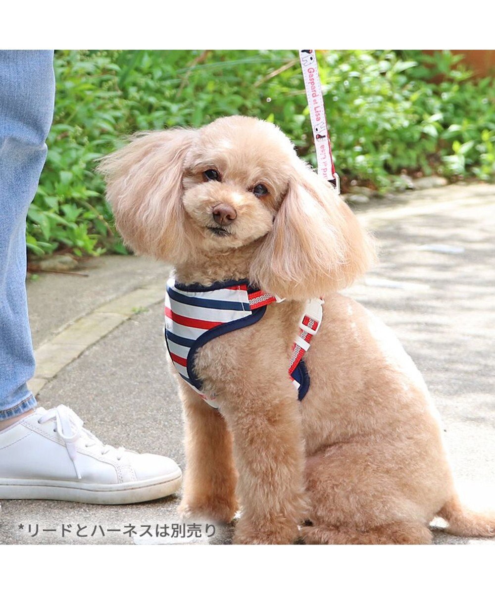 PET PARADISE リサとガスパール マスコット付き ハーネス ３Ｓ 超小型犬 小型犬 