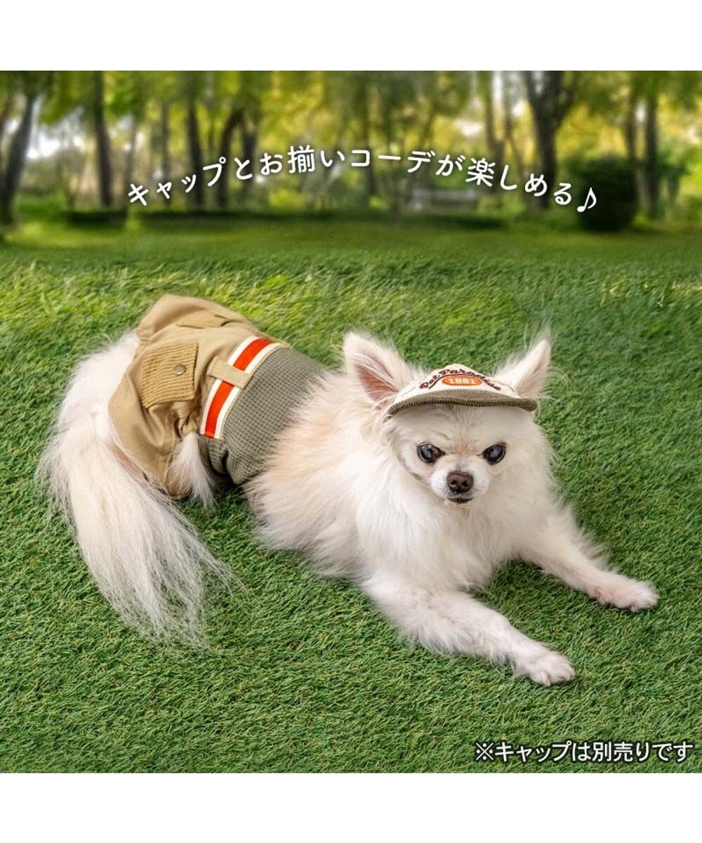 PET PARADISE ペットパラダイス マナーパンツ 小型犬 