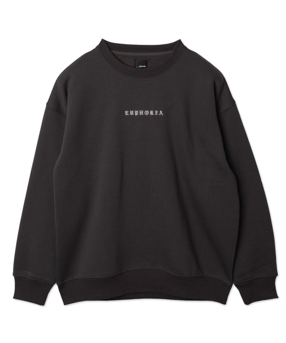 WEGO 【ユニセックス着用ITEM】アーチバックロゴグラフィックプルオーバー 