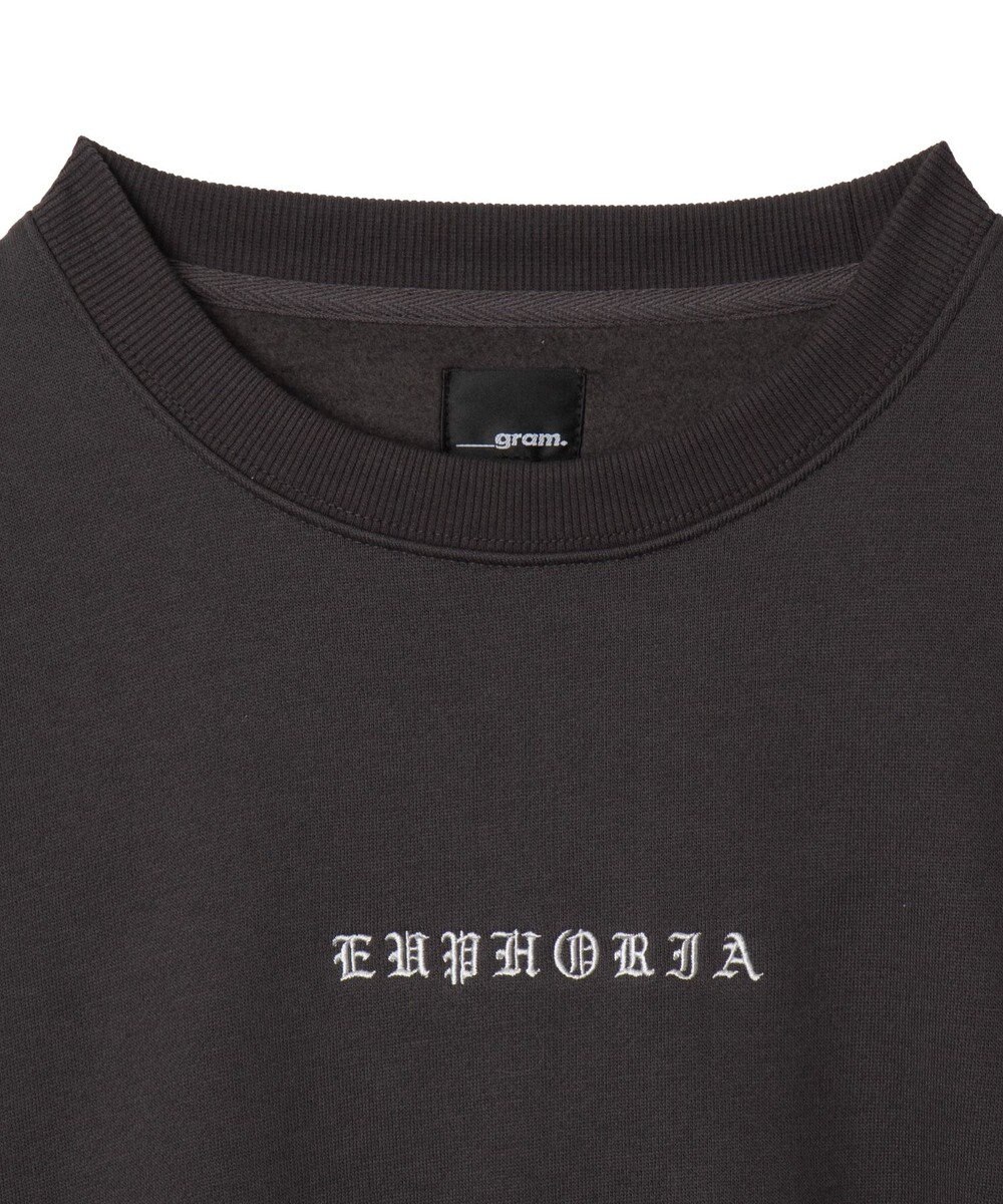 WEGO 【ユニセックス着用ITEM】アーチバックロゴグラフィックプルオーバー 