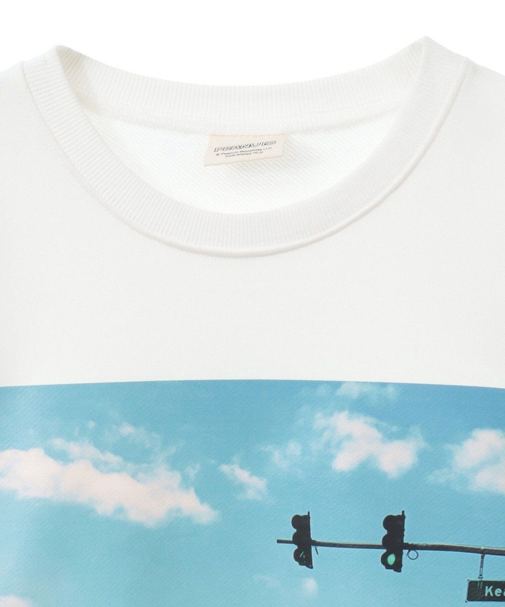 Green Parks ■ＰＥＡＮＵＴＳ　ウォーキングスウェット 